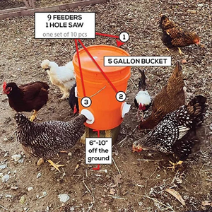 🎁Year end promotion - DIY Chicken Feeder