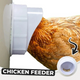 🎁Year end promotion - DIY Chicken Feeder