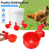 🎁Mid-year promotion - Automatic Chicken Water Cup Bird Coop